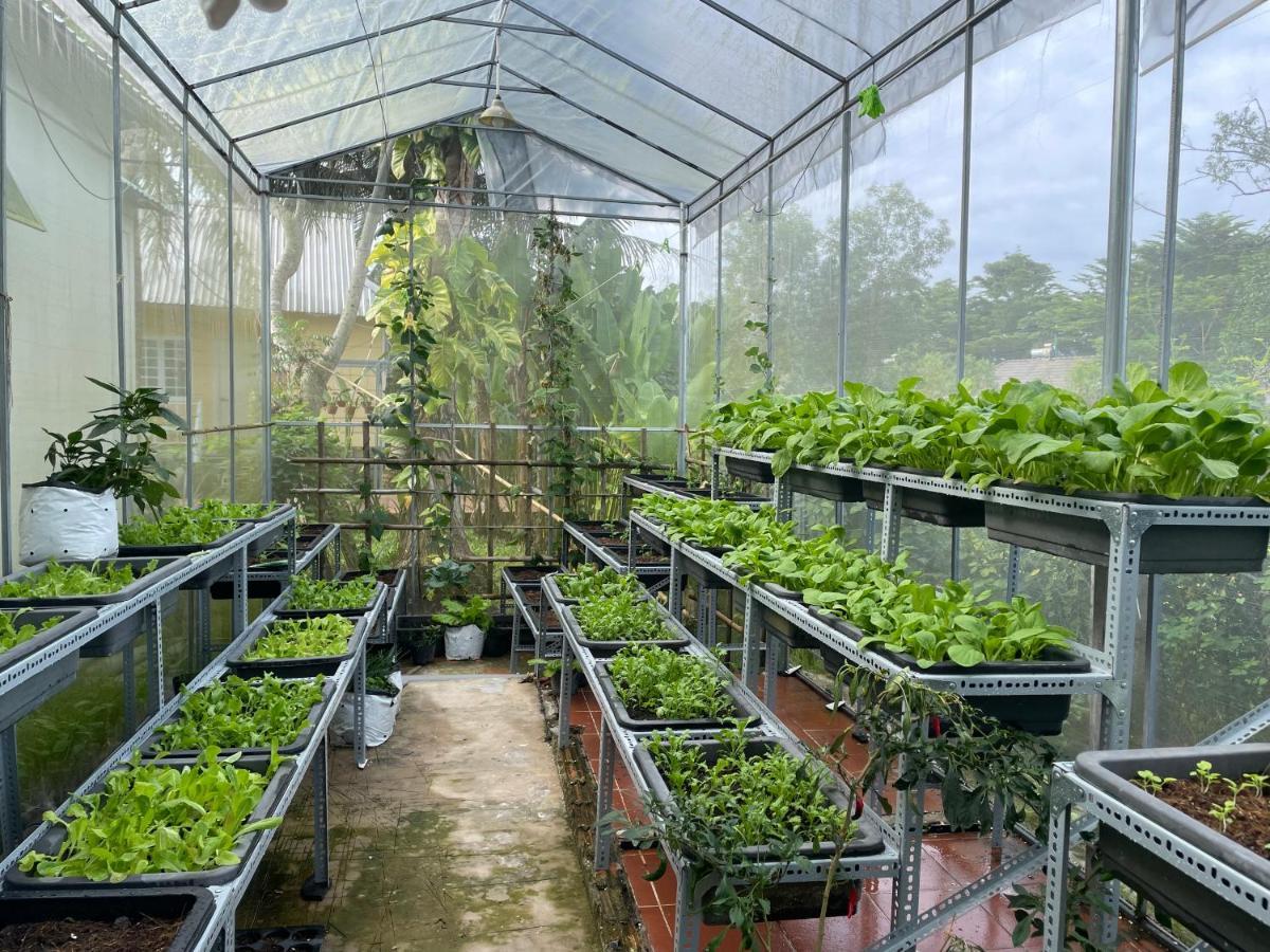 热带花园家庭旅馆 富国 外观 照片